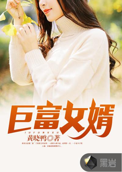 破案：我的厅长岳父