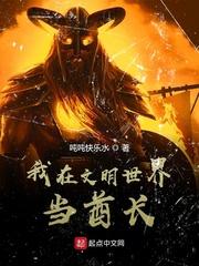 盗综下乡后加点提升技能